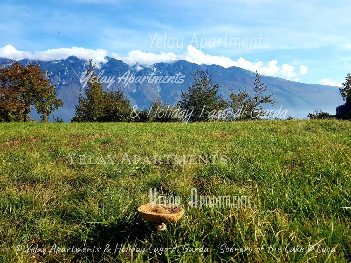 Yelay Apartments & Holiday Lago Di Garda Raffa Kültér fotó